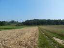 Bilder zum Loreley-Extratour Rundweg