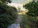 Bilder zum Loreley-Extratour Rundweg