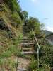 Bilder zum Loreley-Extratour Rundweg