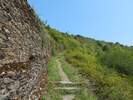 Bilder zum Loreley-Extratour Rundweg