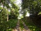 Bilder zum Loreley-Extratour Rundweg