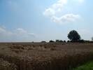 Bilder zum Loreley-Extratour Rundweg
