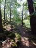 Bilder zum Loreley-Extratour Rundweg