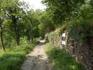 Bilder zum Loreley-Extratour Rundweg