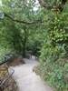Bilder zum Loreley-Extratour Rundweg