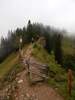 Fotos zur Rundwanderung Luftiger Grat zur Stiegalpe über Falkenhütte und Seelekopf