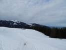 Bilder zu Ofterschwanger Horn und Sigiswanger Horn – Schneeschuhwanderung im Gunzesrieder Tal im Allgäu