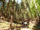 Bilder zu Elbsandsteingebirge Wanderung – Die Sächsische Schweiz in ihrer schönsten Wandervielfalt