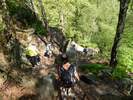 Bilder zu Elbsandsteingebirge Wanderung – Die Sächsische Schweiz in ihrer schönsten Wandervielfalt
