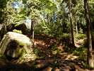 Bilder zu Elbsandsteingebirge Wanderung – Die Sächsische Schweiz in ihrer schönsten Wandervielfalt