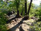 Bilder zu Elbsandsteingebirge Wanderung – Die Sächsische Schweiz in ihrer schönsten Wandervielfalt
