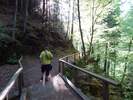Bilder zu Elbsandsteingebirge Wanderung – Die Sächsische Schweiz in ihrer schönsten Wandervielfalt