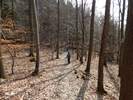 Fotos zur Traumschleife Ehrbachklamm Rundwanderung 