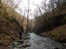 Fotos zur Traumschleife Ehrbachklamm Rundwanderung 
