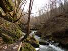 Fotos zur Traumschleife Ehrbachklamm Rundwanderung 