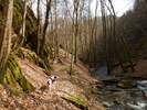 Fotos zur Traumschleife Ehrbachklamm Rundwanderung 