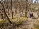 Fotos zur Traumschleife Ehrbachklamm Rundwanderung 