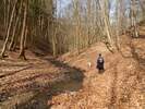 Fotos zur Traumschleife Ehrbachklamm Rundwanderung 