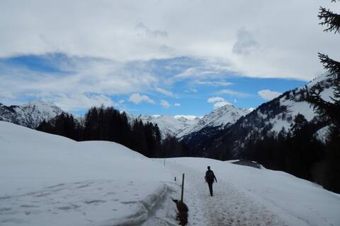 Söllereck – Sattelkopf – Hochleite – Schwand – Freibergsee