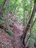 Eindrücke zum Mittelrhein-Klettersteig Boppard