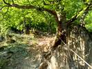 Eindrücke zum Mittelrhein-Klettersteig Boppard