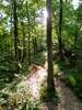 Eindrücke zum Mittelrhein-Klettersteig Boppard