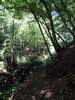 Durch die Hölzbachklamm und zurück zum Hunolsteiner Hof