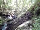 Durch die Hölzbachklamm und zurück zum Hunolsteiner Hof