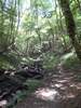 Durch die Hölzbachklamm und zurück zum Hunolsteiner Hof