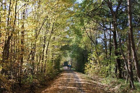 Auf dem Vulkanradweg von Hartmannshain nach Altenstadt-Lindheim
