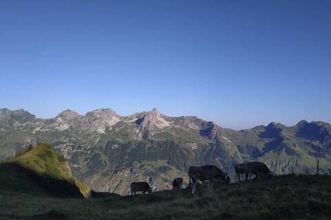 Hüttentour über Alpe Eschbach, Enzianhütte, Rappenseehütte, Schwarze Hütte, Einödsbach, Birgsau
