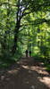 Bildergalerie zur Trail-Tour Spessartweg 1