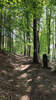 Bildergalerie zur Trail-Tour Spessartweg 1