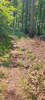Bildergalerie zur Trail-Tour Spessartweg 1