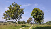 Bildergalerie zur Trail-Tour Spessartweg 1