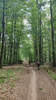 Bildergalerie zur Trail-Tour Spessartweg 1