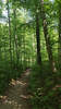 Bildergalerie zur Trail-Tour Spessartweg 1