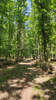 Bildergalerie zur Trail-Tour Spessartweg 1