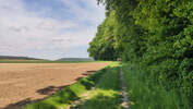 Bildergalerie zur Trail-Tour Spessartweg 1