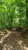 Bildergalerie zur Trail-Tour Spessartweg 1