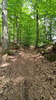 Bildergalerie zur Trail-Tour Spessartweg 1