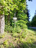 Zug zurück von der Trail-Tour auf dem Spessartweg 1 – mit Bonusmaterial
