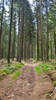 Ein Trail als Belohnung. Samt Sturz und dicker Nase.