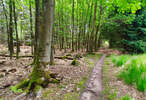 Ein Trail als Belohnung. Samt Sturz und dicker Nase.
