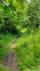 Ein Trail als Belohnung. Samt Sturz und dicker Nase.
