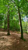 Ein Trail als Belohnung. Samt Sturz und dicker Nase.