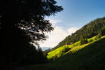 Rückweg über Untere Richteralpe über Fahrweg nach Reichenbach
