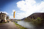 Entlang des Neckar von Neckarsteinach zurück nach Neckargemünd