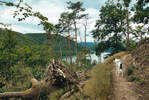 Bilder zur Rundwanderung Schloss Waldeck