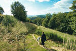 Bilder zur Rundwanderung Schloss Waldeck